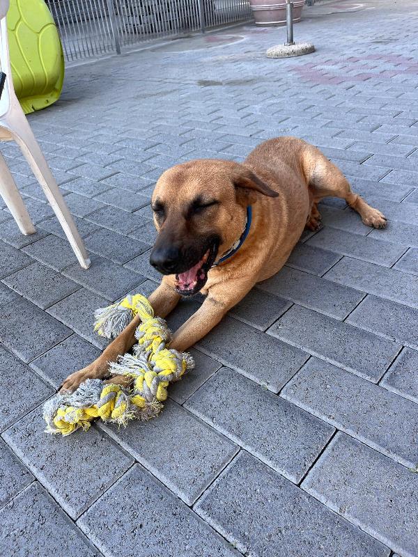 ARGO ALLA RICERCA DI CASA E AMORE Foto 5